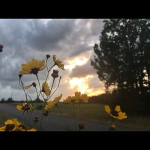 Meet your Posher, Janet